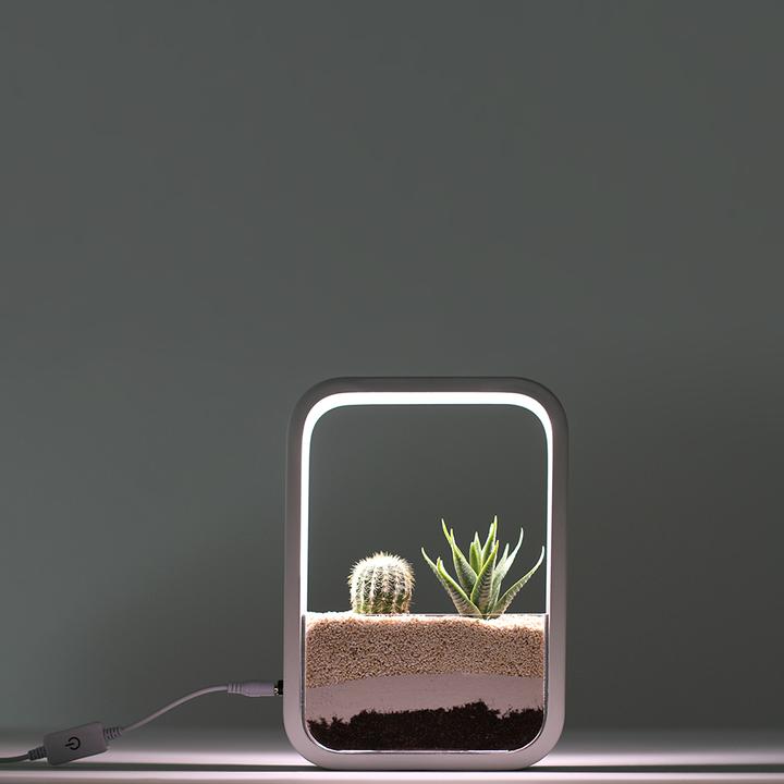 Immagine prodotto Livoo Giardino d’interno (5.20 cm)