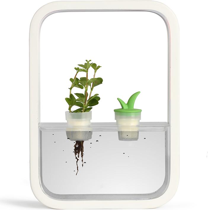 Immagine prodotto Livoo Giardino d’interno (5.20 cm)
