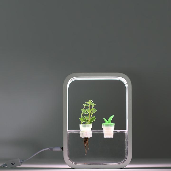Immagine prodotto Livoo Giardino d’interno (5.20 cm)