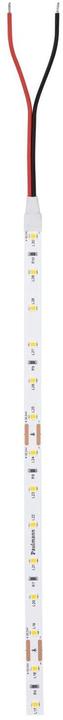 Actual product image Paulmann Pro Strip Silver P25 (Warm white, 500 cm, Indoor)