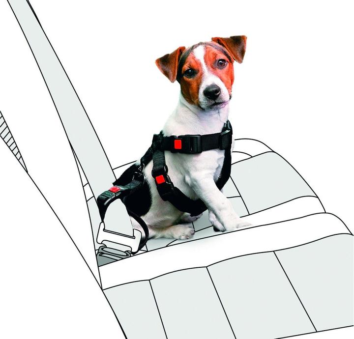 Image du produit Karlie Harnais de sécurité pour voiture en nylon (Chien, Fermeture de sécurité)