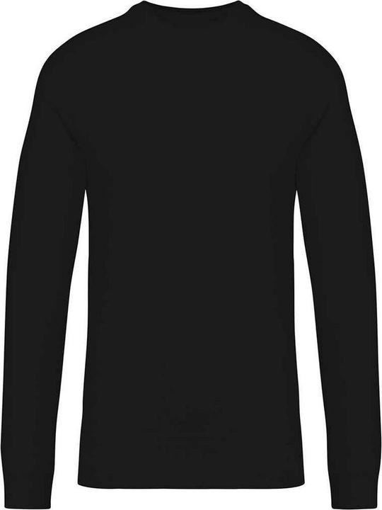 Native Spirit Sweatshirt Raglanärmel