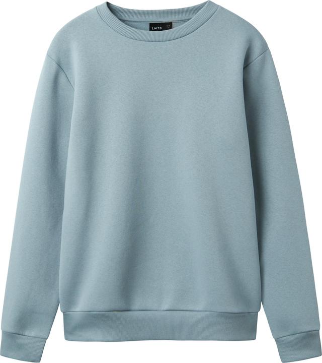 Actual product image Lmtd Langarm Sweatshirt (134)