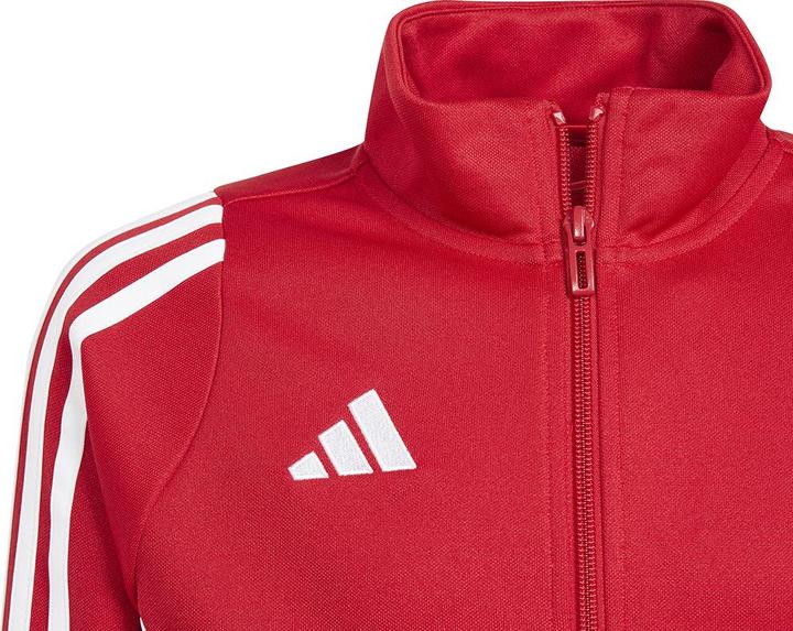 Actual product image adidas TIRO24 TRJKT Y (152)