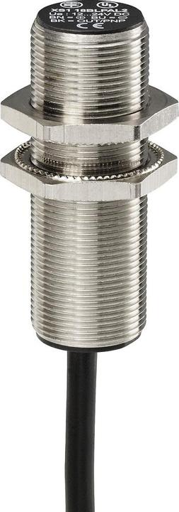 Actual product image Schneider Electric Inductive proximity switch (Switch)