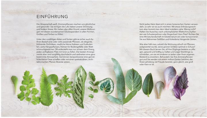 Image du produit Das grosse Buch der Zimmerpflanzen (Allemand, Zia Allaway, Fran Bailey, Reinhard Ferstl, Éditeur DK, 2024)