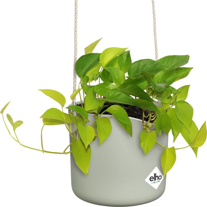 Produktbild Elho B.for Swing (18 cm)