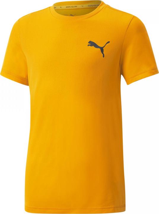 Image du produit Puma ACTIVE Small Logo Tee-586980 (140)