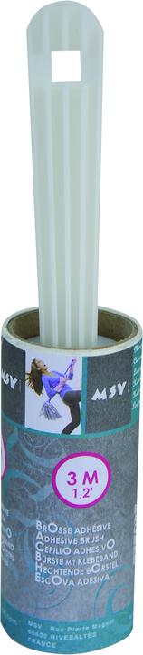 MSV Alice