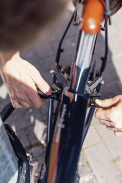 Actual product image Abus Ach Ivy