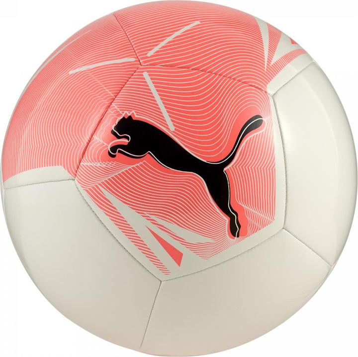 Actual product image Puma Big Cat