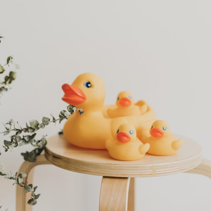 Actual product image Playgro Duck family