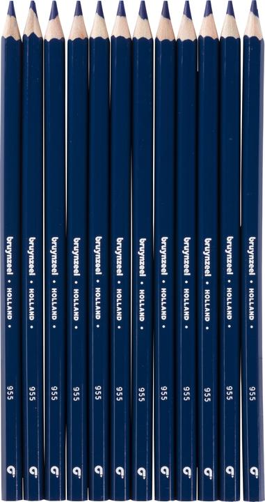 Actual product image Bruynzeel Colored pencil Colorexpress (Blue)