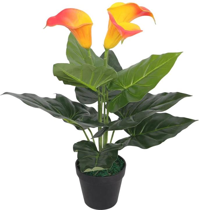VidaXL Rhonda (45 cm)