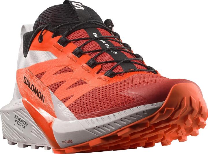 Produktbild Salomon Sense Ride 5 (46 2/3)