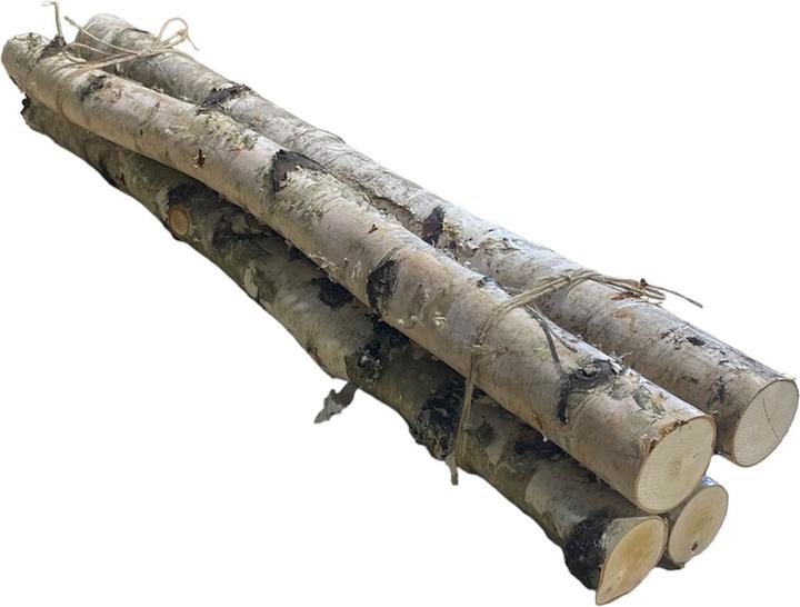 Image du produit Natura Punto Branches de bouleau pour la décoration