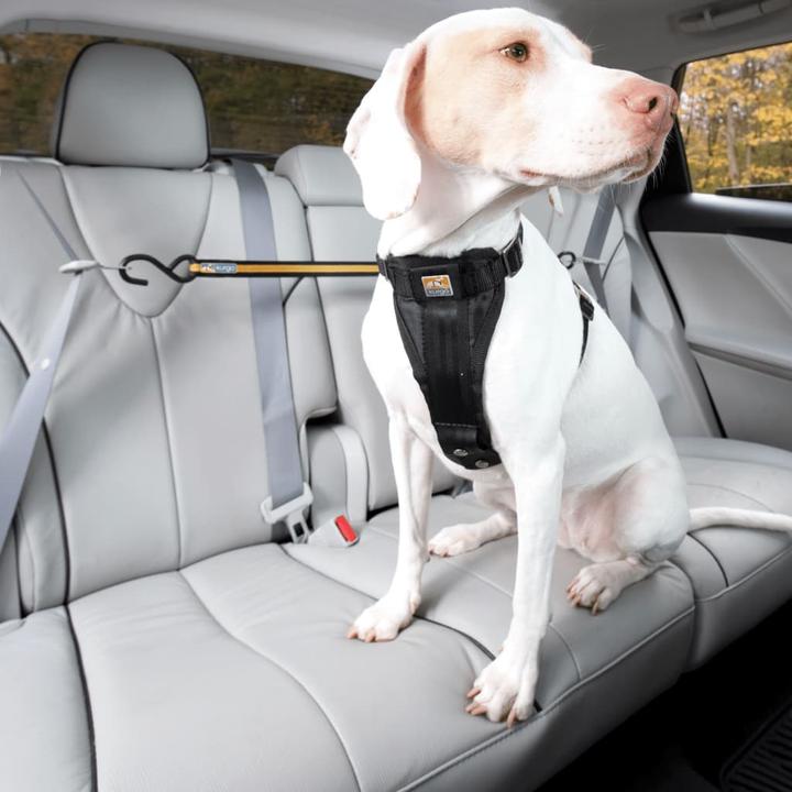 Produktbild Kurgo Auto Zip Line & Leash (Hund, Reflektoren)