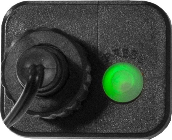 Image du produit Star Trading Berry Mini (0.15 m)