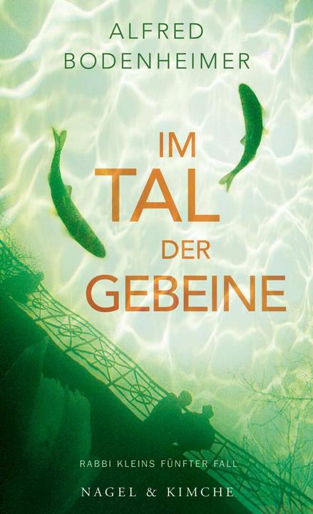 Produktbild Im Tal der Gebeine (Deutsch, Alfred Bodenheimer, 2018)