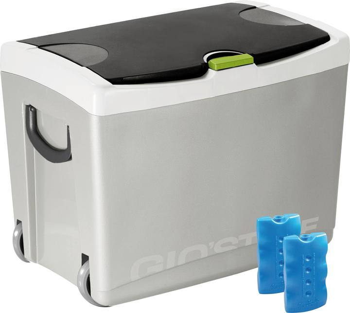 Actual product image Giostyle Cooler Shiver 42 (43 l)