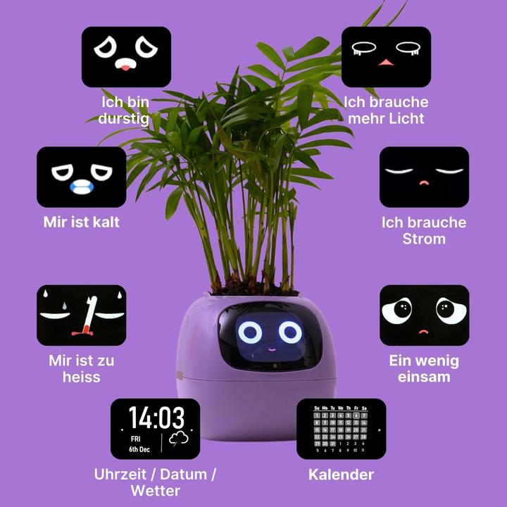Produktbild Hermex Ivy Smart Planter (11 cm)