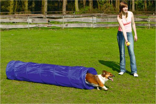 Beeztees BZ AGILITY TUNNEL PICCOLO 198X40 (Destrezza)