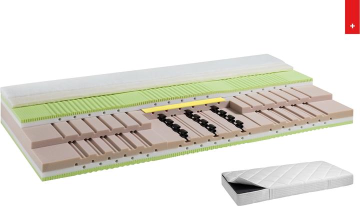 Produktbild Sleepwell24 zürich allergiker (80 x 220 cm, Schaumstoffkern)