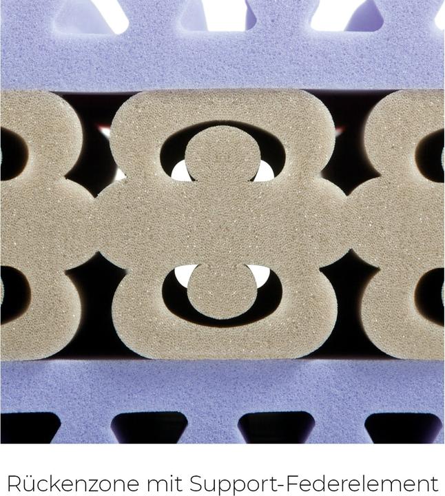 Produktbild Sleepwell24 basel allergiker (100 x 220 cm, Schaumstoffkern)
