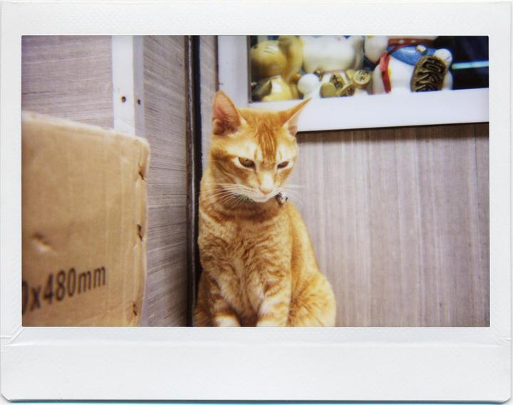Actual product image Lomo Instant Wide