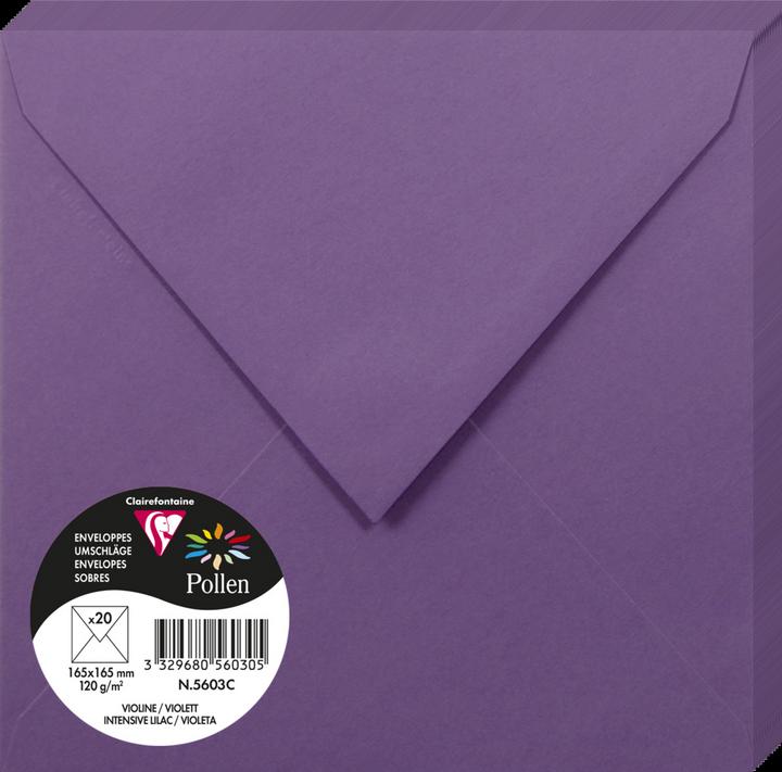 Produktbild Pollen Umschläge (165 x 165 mm, 20 x)