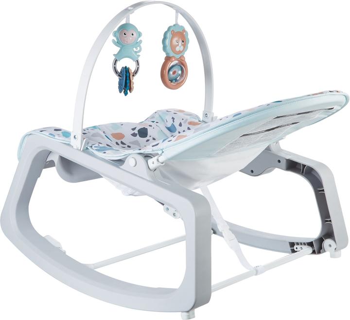 Actual product image Fisher-Price Infant-to-Toddler Rocker