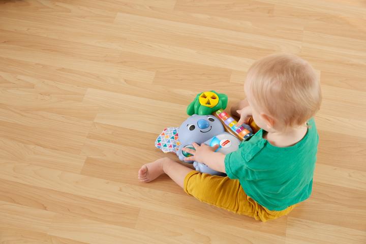 Actual product image Fisher-Price Linkimals Koala (German)