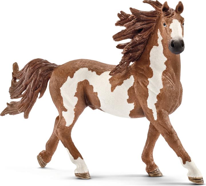 Produktbild Schleich Pinto-Hengst