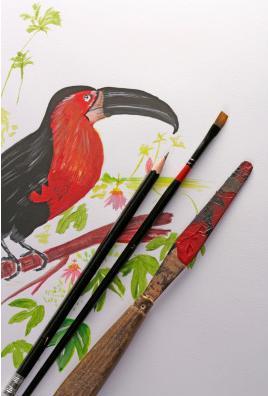 Image du produit Clairefontaine Peinture (250 g/m², 40 x)