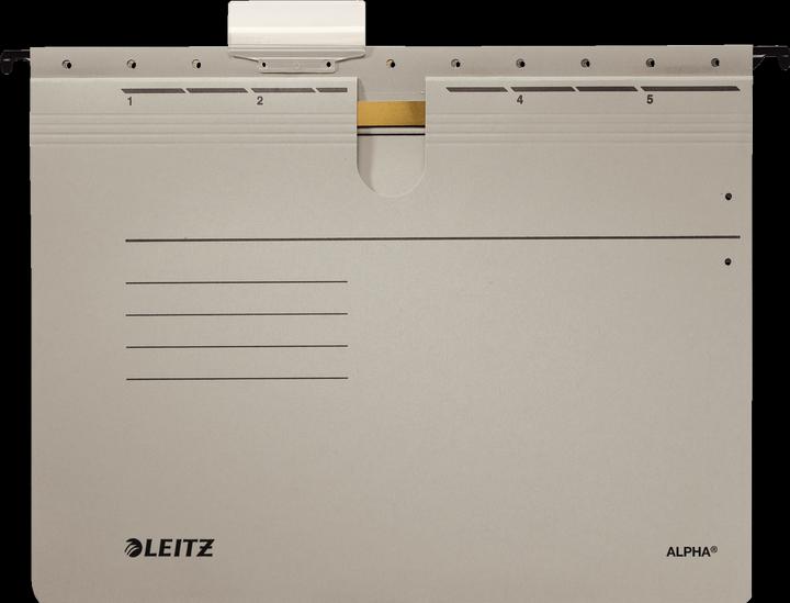 Image du produit Leitz Dossier suspendu ALPHA, A4, agrafage commercial, gris (A4, 1 x)