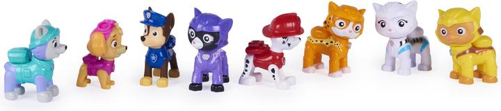 Actual product image Spin Master Paw Patrol Cat Pack Figure Gift Pack Pups And Cats