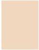 Produktbild Sisley Phyto Teint Ultra Eclat No 1 + (1+ Ecru)