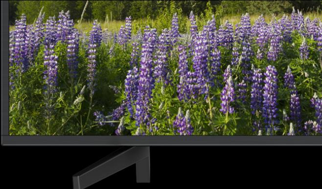 Produktbild Sony Kd-49xf7005 (49", LCD, 4K, 2018)