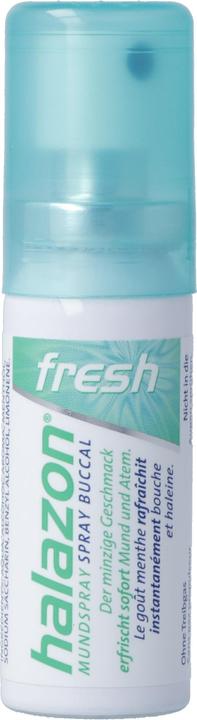 Actual product image Halazon Fresh fresh mouth spray without propellant gas (15 ml, Mouth spray)