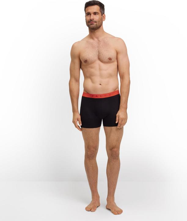 Produktbild Falke 2-Pack Herren (L, 2er Pack)