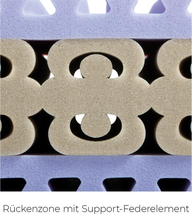 Immagine prodotto Sleepwell24 allergici di basilea (120 x 200 cm, Nucleo di schiuma)