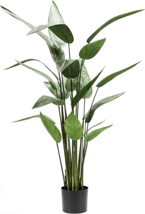 Produktbild Emerald Bara (125 cm)