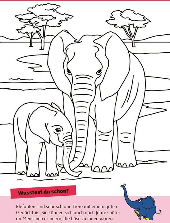 Produktbild Die Maus - Malblock mit Sachwissen Natur und Tiere (Deutsch, pen2nature, 2024)