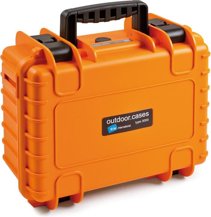 Actual product image B&W International Protective case foam type 1000 (Photo case, 32.60 l)