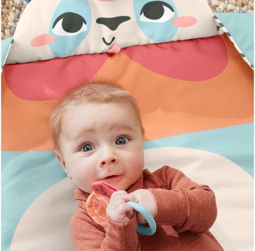Image du produit Fisher-Price 0