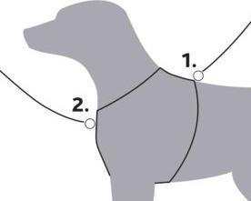 Image du produit Trixie Premium Trekking, harnais, pour chien, rouge (XL, Chien, Général)