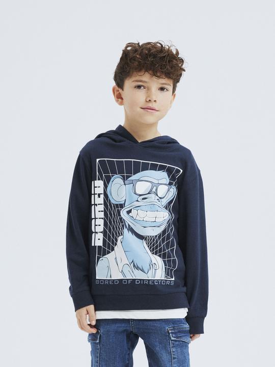 Actual product image Name it Bored Ape Hoodie (116)