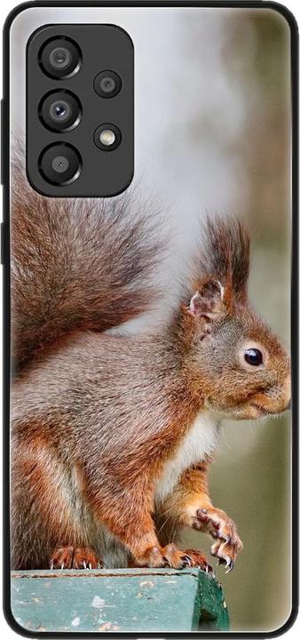 Eichhörnchen