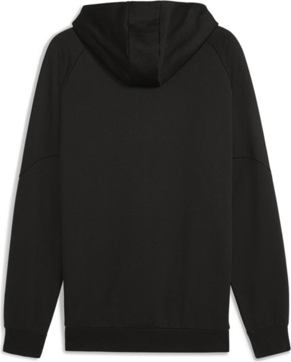 Actual product image Puma PUMATECH Hoodie FL (L)
