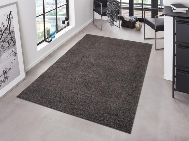 Actual product image Hanse Home Pure (240 x 160 cm)
